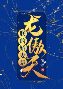 朕的嬌妻是龍傲天(女穿男)